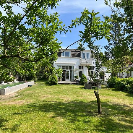 Tiny House In Tuin Van De Statige Villa Mariahof 도르드레흐트 외부 사진