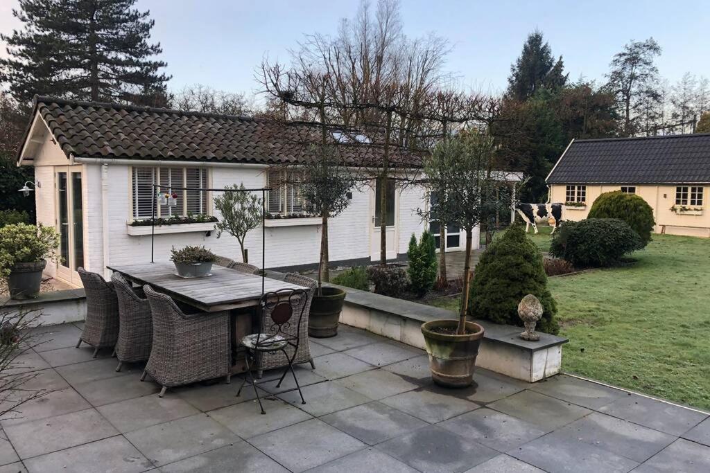 Tiny House In Tuin Van De Statige Villa Mariahof 도르드레흐트 외부 사진