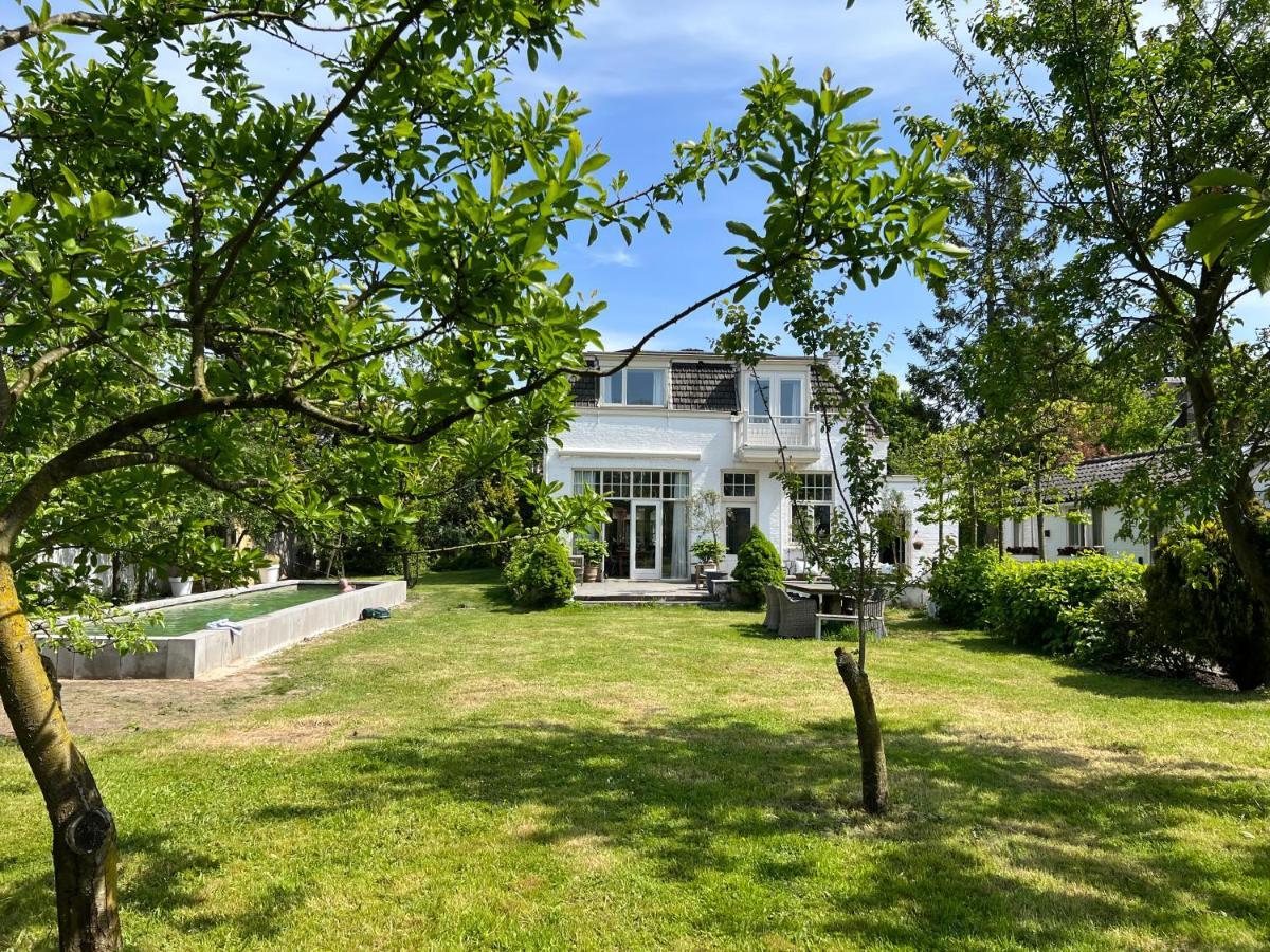 Tiny House In Tuin Van De Statige Villa Mariahof 도르드레흐트 외부 사진
